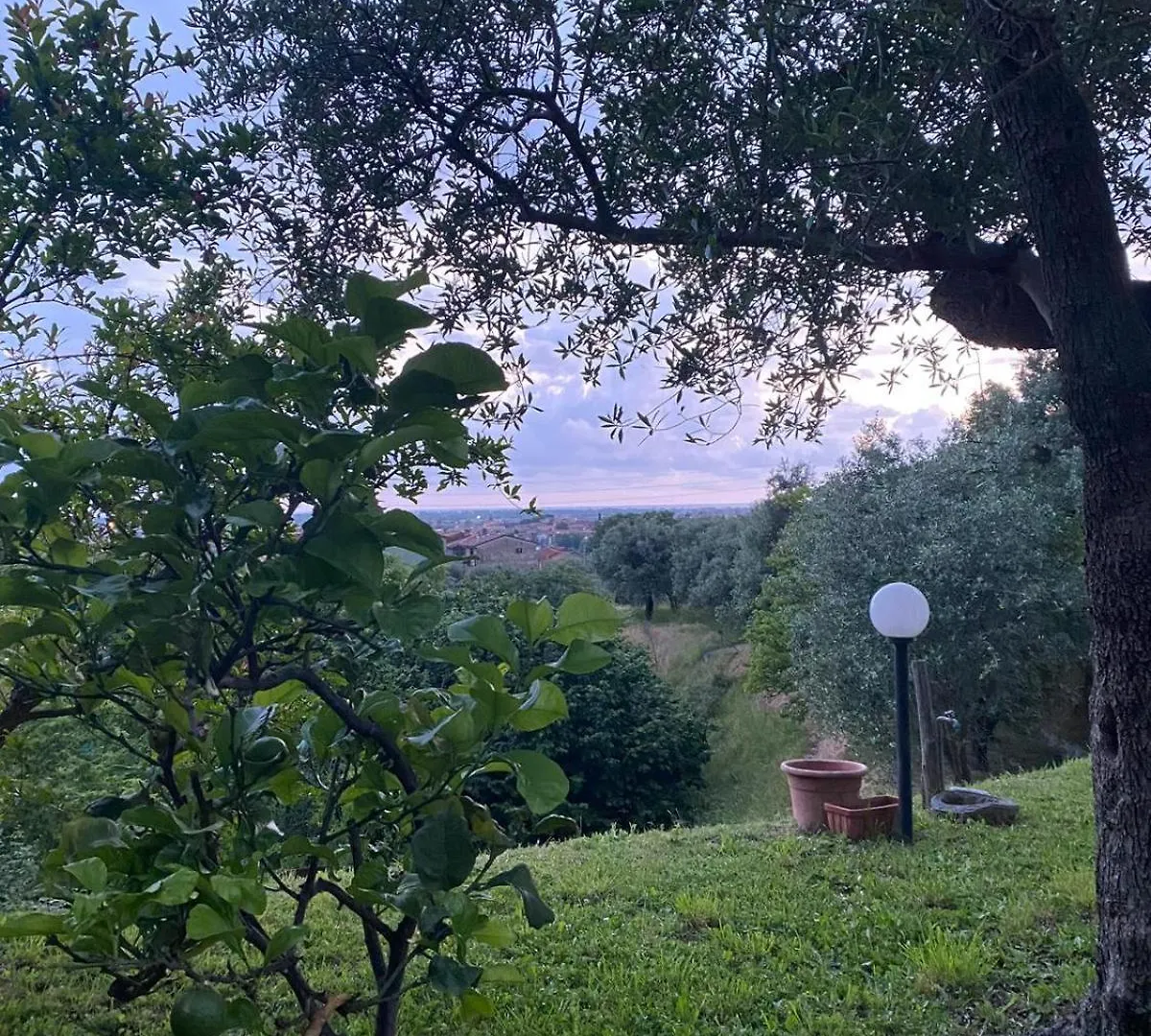 La Casa Dei Nonni Villa Pietrasanta